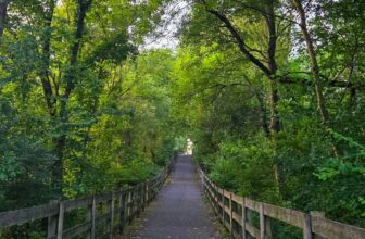 The Little Issues E-newsletter #479 – Life, laughter, and plenty of nice meals!