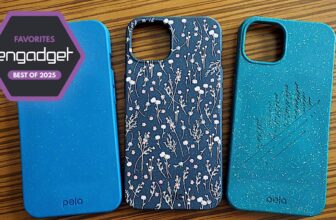 The perfect eco-friendly telephone instances for 2025