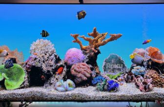 You do not want a brand new Roku; you should clear the cache