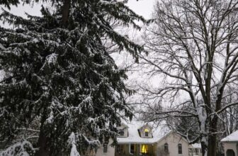 The Little Issues Publication #498 – Life, laughter, and plenty of nice meals!