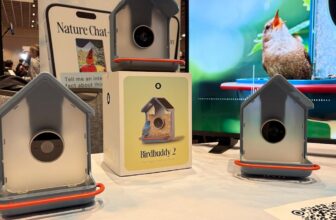 Birdbuddy’s new good chicken feeder can ID birds by their songs