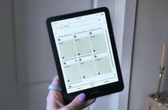 I want each Kindle proprietor knew how straightforward it’s to do away with litter