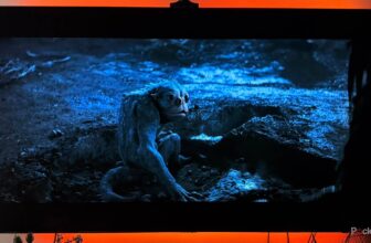 There are two kinds of LCD TV you don’t find out about