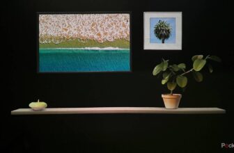 Why I ended shopping for sensible TVs, and what I purchased as a substitute